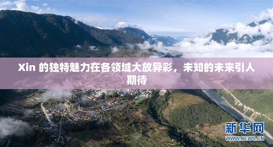 Xin 的独特魅力在各领域大放异彩，未知的未来引人期待