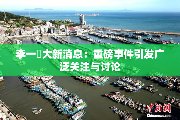 李一挏大新消息：重磅事件引发广泛关注与讨论