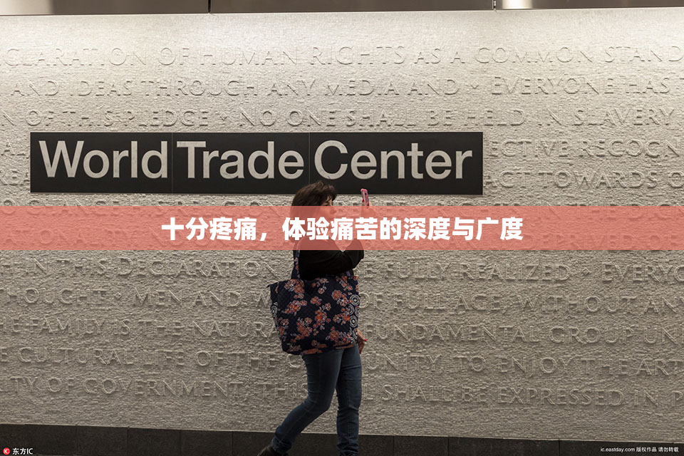 十分疼痛，体验痛苦的深度与广度