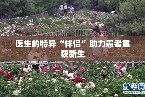 医生的特异“伴侣”助力患者重获新生