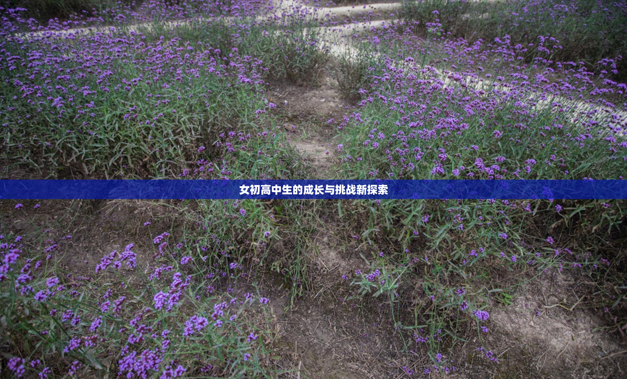 女初高中生的成长与挑战新探索