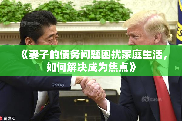 《妻子的债务问题困扰家庭生活，如何解决成为焦点》