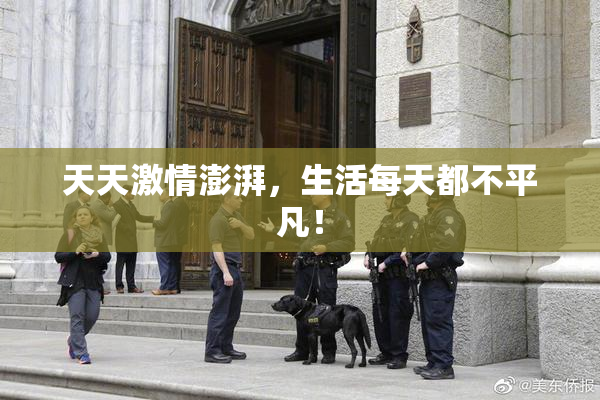 天天激情澎湃，生活每天都不平凡！