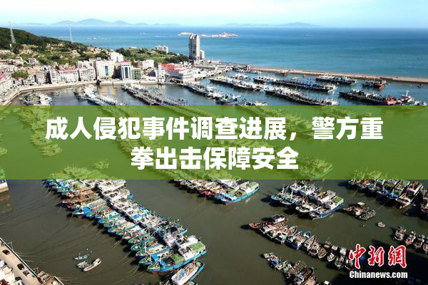成人侵犯事件调查进展，警方重拳出击保障安全