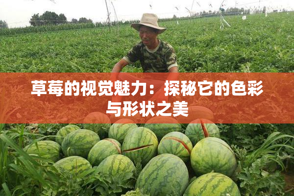 草莓的视觉魅力：探秘它的色彩与形状之美