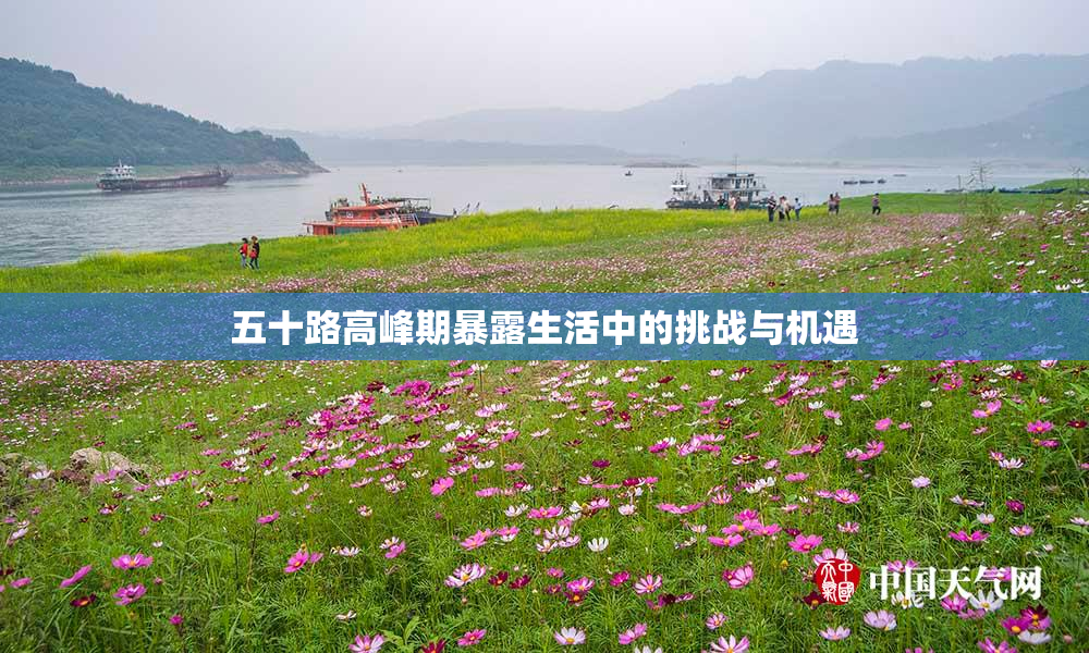 五十路高峰期暴露生活中的挑战与机遇