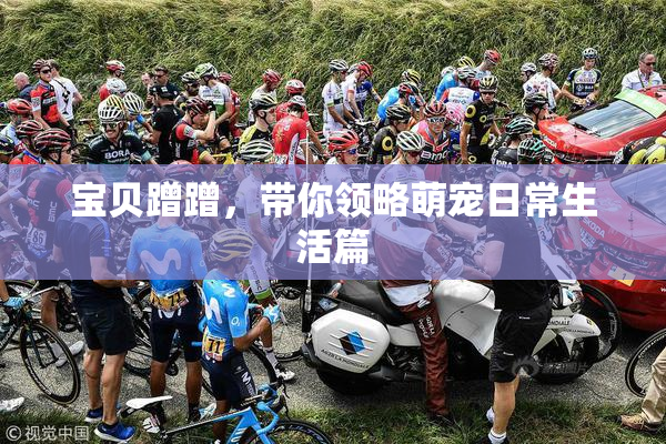 宝贝蹭蹭，带你领略萌宠日常生活篇