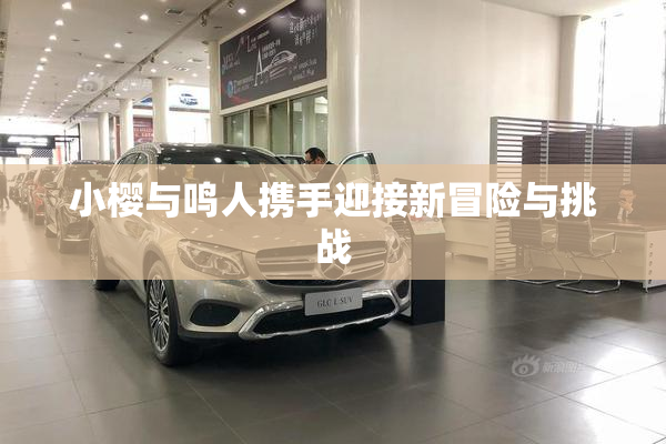 小樱与鸣人携手迎接新冒险与挑战