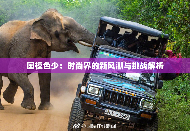 国模色少：时尚界的新风潮与挑战解析