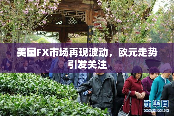美国FX市场再现波动，欧元走势引发关注