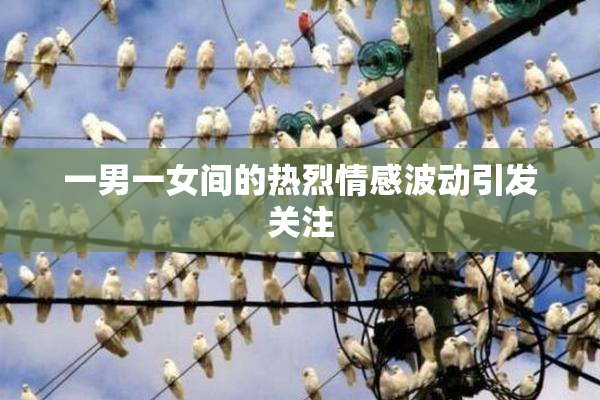 一男一女间的热烈情感波动引发关注