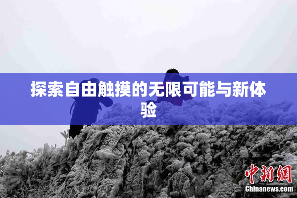 探索自由触摸的无限可能与新体验