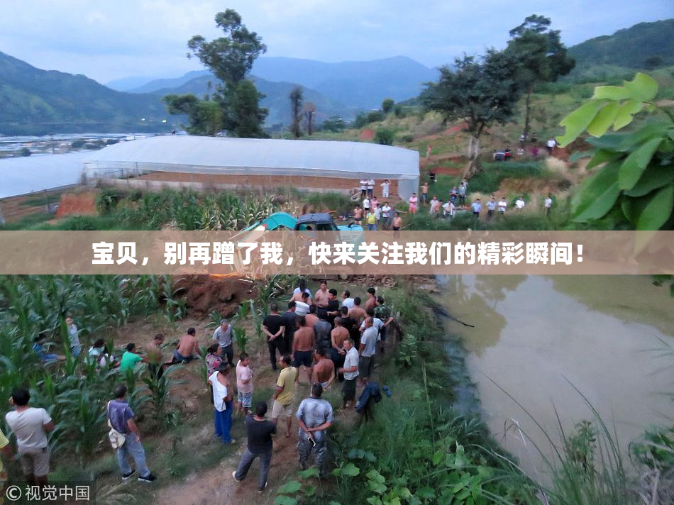 宝贝，别再蹭了我，快来关注我们的精彩瞬间！