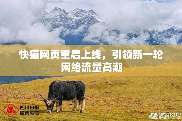 快猫网页重启上线，引领新一轮网络流量高潮