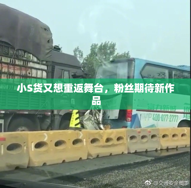 小S货又想重返舞台，粉丝期待新作品