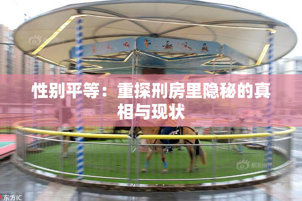 性别平等：重探刑房里隐秘的真相与现状