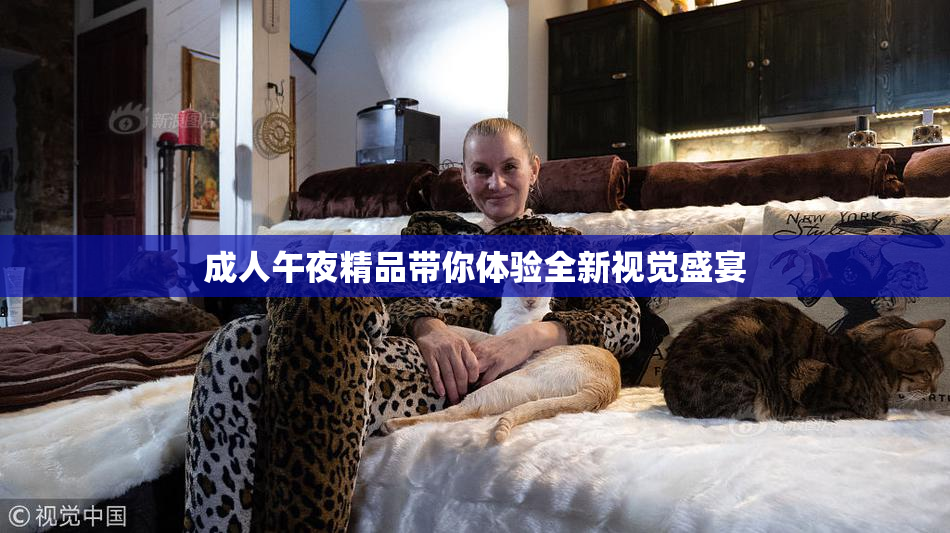 成人午夜精品带你体验全新视觉盛宴