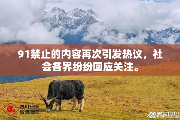 91禁止的内容再次引发热议，社会各界纷纷回应关注。
