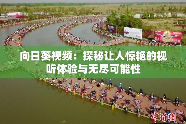 向日葵视频：探秘让人惊艳的视听体验与无尽可能性