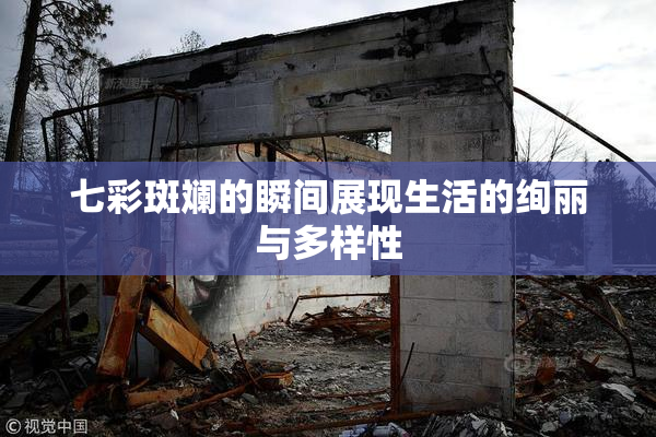七彩斑斓的瞬间展现生活的绚丽与多样性