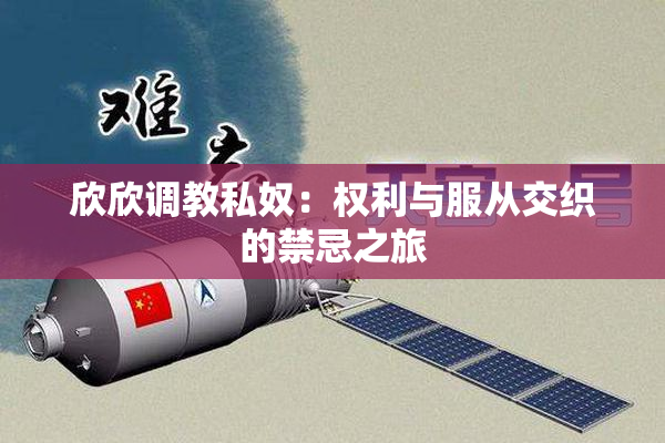 欣欣调教私奴：权利与服从交织的禁忌之旅
