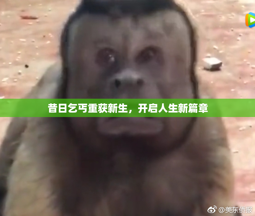 昔日乞丐重获新生，开启人生新篇章