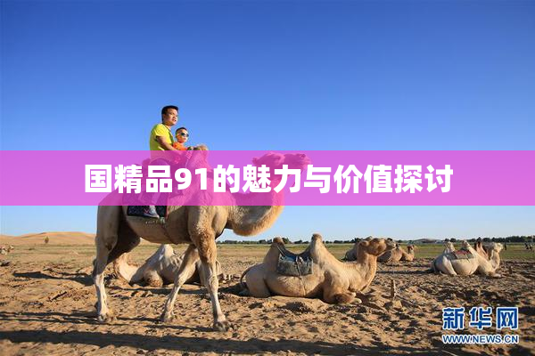 国精品91的魅力与价值探讨