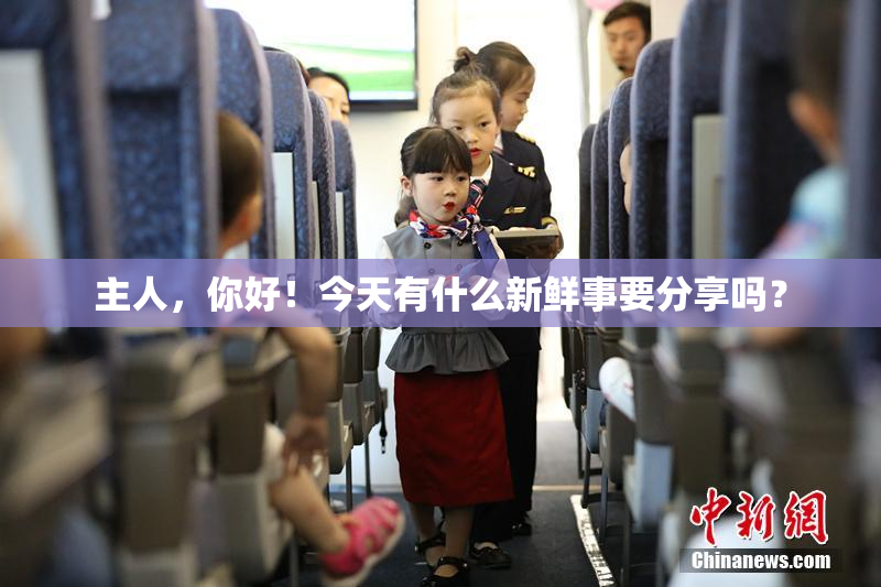 主人，你好！今天有什么新鲜事要分享吗？