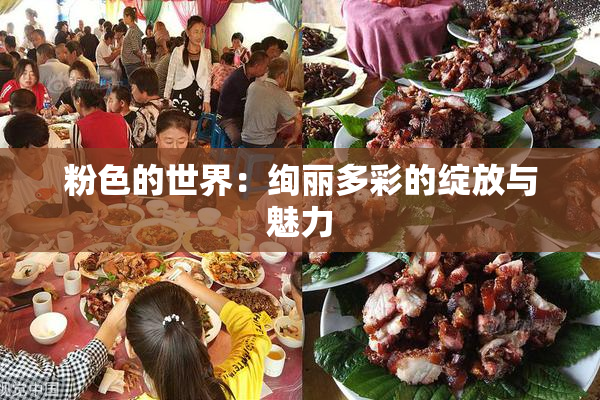 粉色的世界：绚丽多彩的绽放与魅力