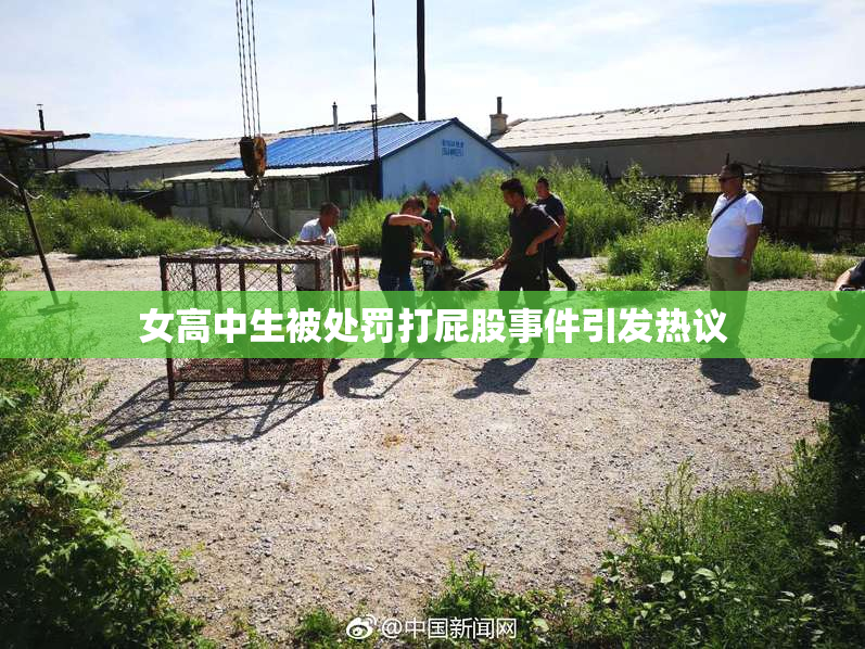 女高中生被处罚打屁股事件引发热议