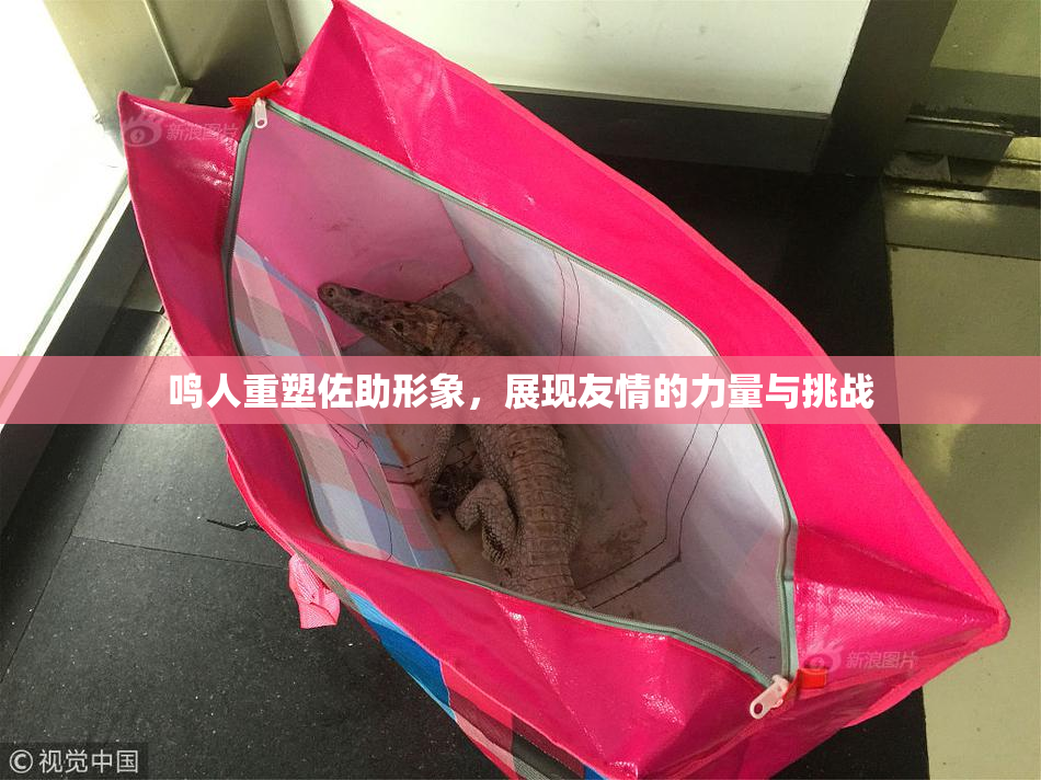 鸣人重塑佐助形象，展现友情的力量与挑战