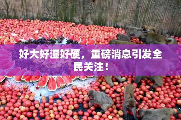 好大好湿好硬，重磅消息引发全民关注！
