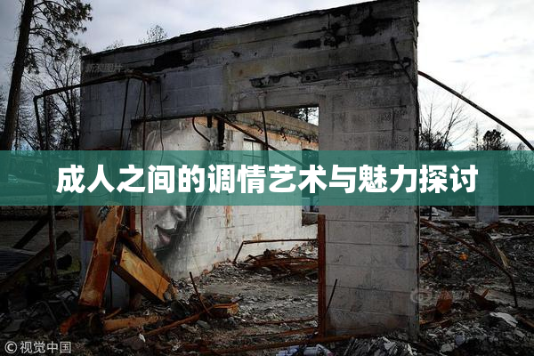 成人之间的调情艺术与魅力探讨