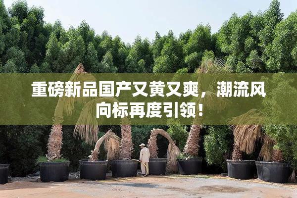 重磅新品国产又黄又爽，潮流风向标再度引领！