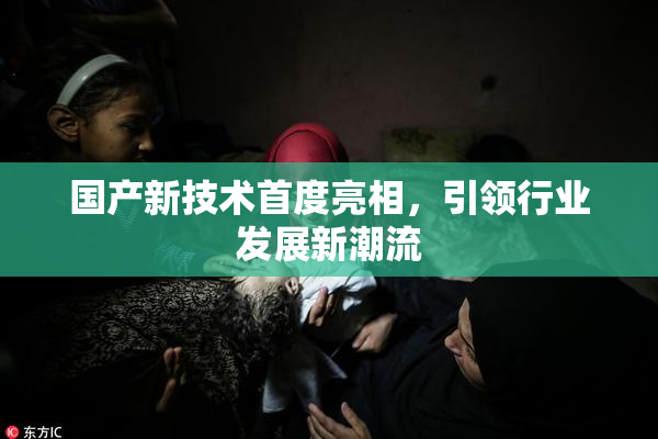 国产新技术首度亮相，引领行业发展新潮流