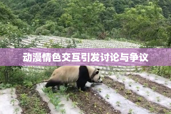 动漫情色交互引发讨论与争议