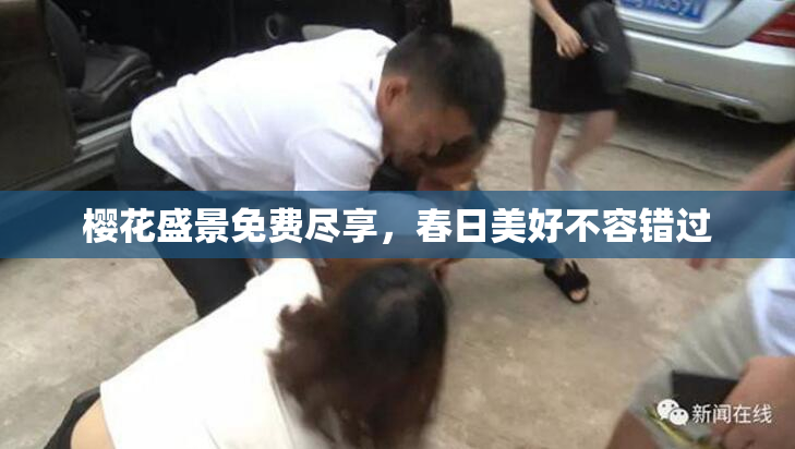 樱花盛景免费尽享，春日美好不容错过