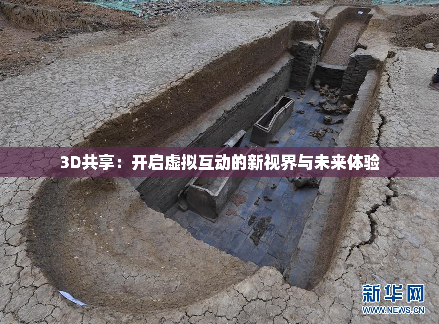 3D共享：开启虚拟互动的新视界与未来体验