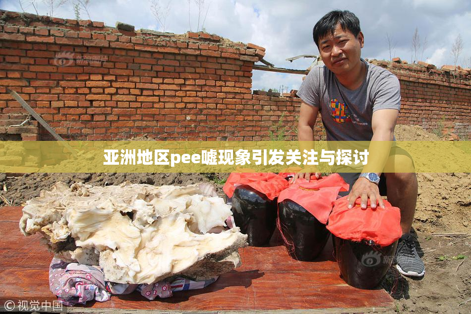 亚洲地区pee嘘现象引发关注与探讨