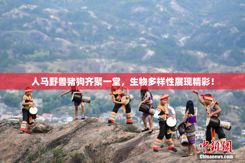 人马野兽猪狗齐聚一堂，生物多样性展现精彩！