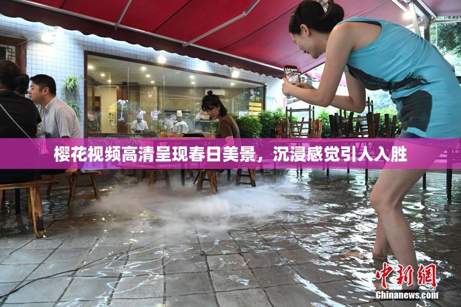 樱花视频高清呈现春日美景，沉浸感觉引人入胜