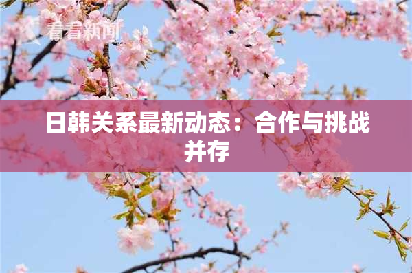 日韩关系最新动态：合作与挑战并存