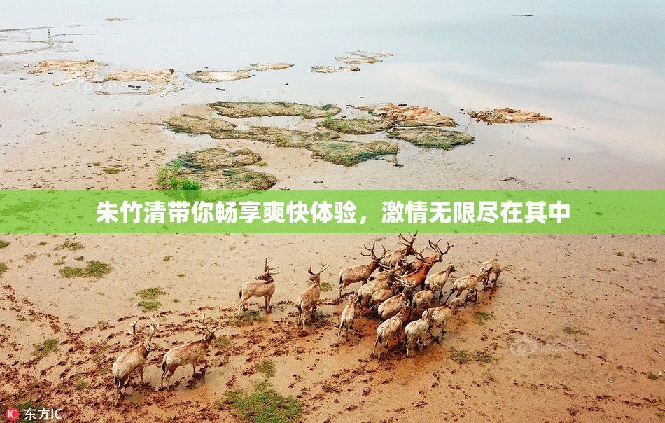 朱竹清带你畅享爽快体验，激情无限尽在其中