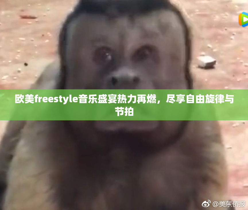 欧美freestyle音乐盛宴热力再燃，尽享自由旋律与节拍