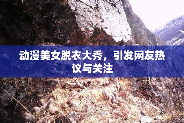 动漫美女脱衣大秀，引发网友热议与关注