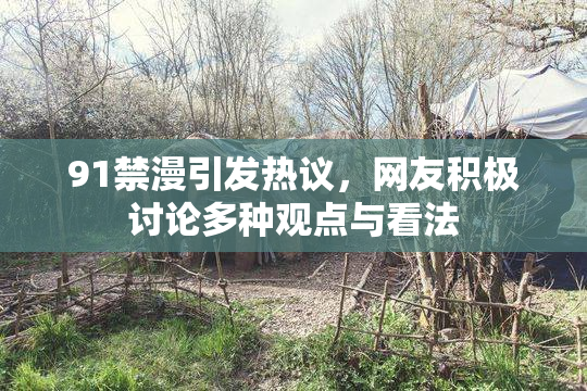 91禁漫引发热议，网友积极讨论多种观点与看法