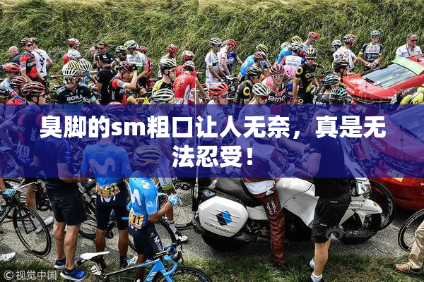 臭脚的sm粗口让人无奈，真是无法忍受！