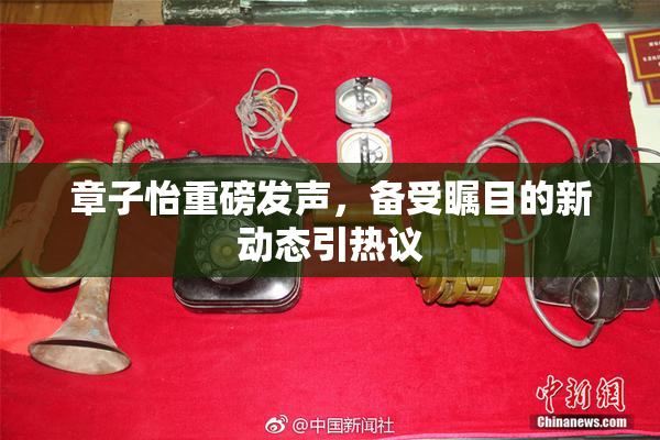 章子怡重磅发声，备受瞩目的新动态引热议