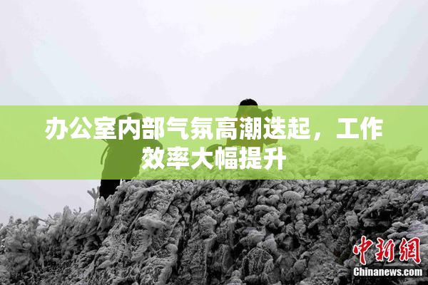 办公室内部气氛高潮迭起，工作效率大幅提升
