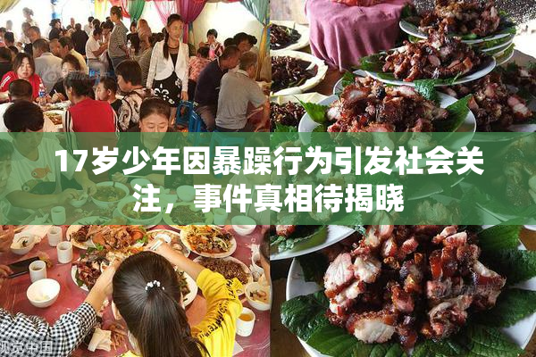 17岁少年因暴躁行为引发社会关注，事件真相待揭晓